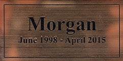 Lasting Memories Sandstone Rock Urn