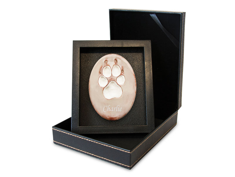 Birch - PAW119
