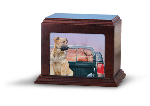 Elegant Photo Urn