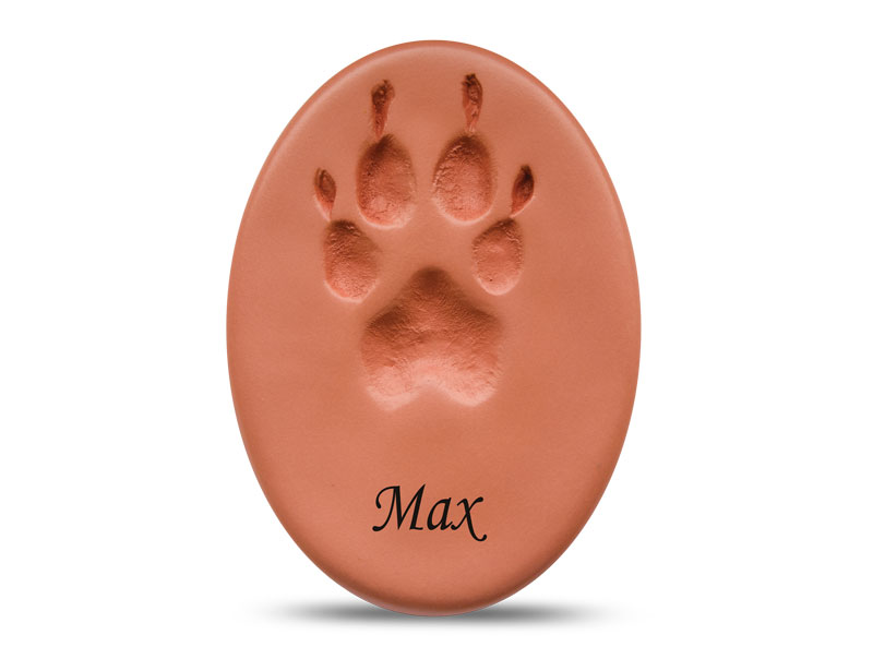 Precious Paws