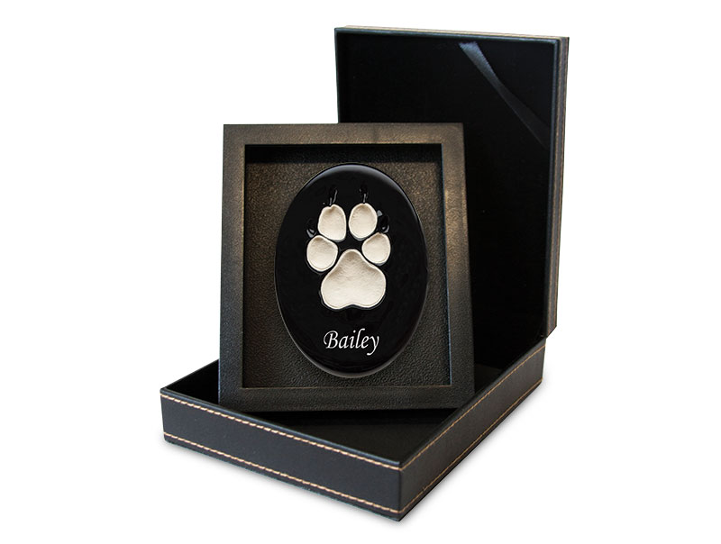 Lasting Paws - Vibrant Collection