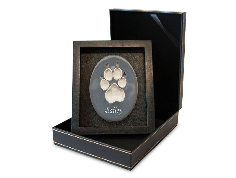 Lasting Paws - Vibrant Collection