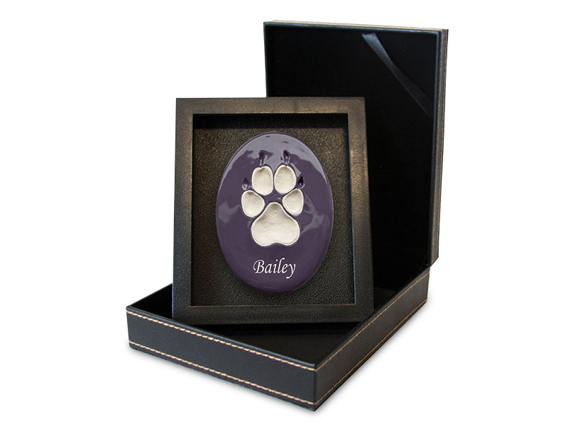Lasting Paws - Vibrant Collection