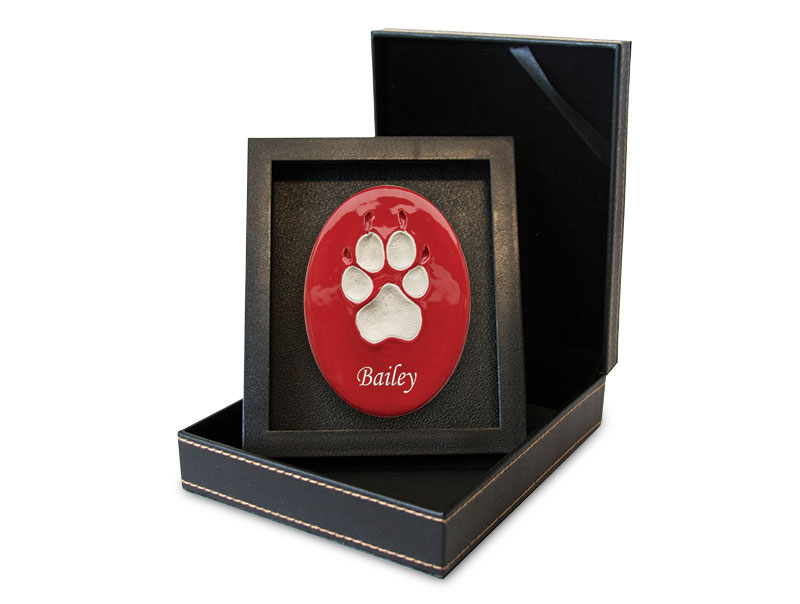 Lasting Paws - Vibrant Collection