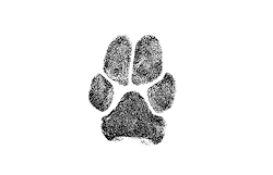 Digitally Rendered Ink Prints